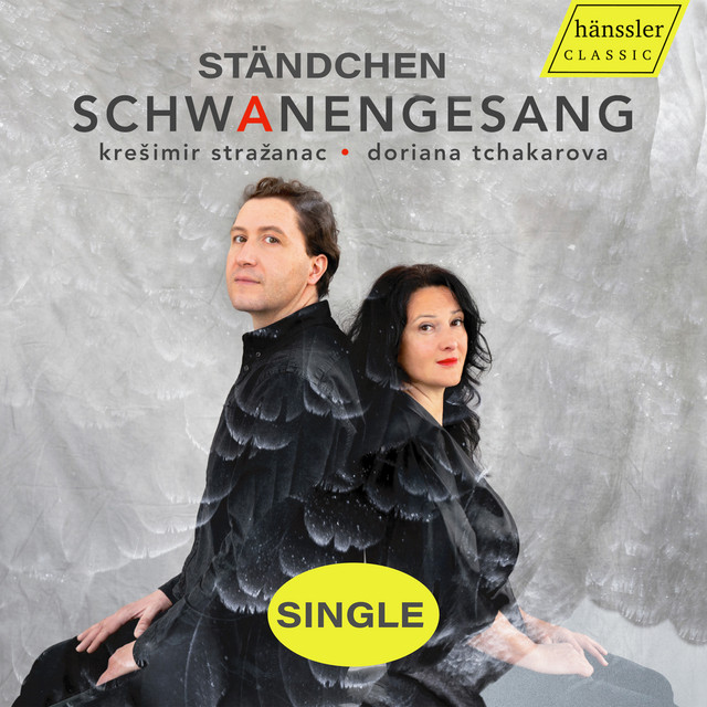 Schwanengesang D. 957 - Ständchen