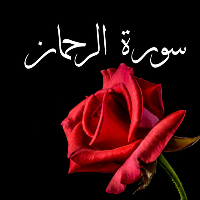 Yasser Al Dosari - Surat Ar-Rahman Sensational cover art