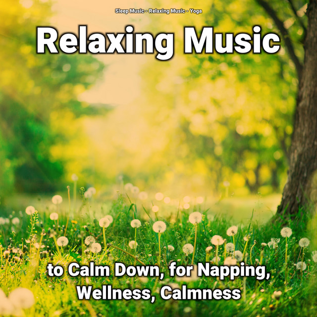 Relaxing Music to Calm Down, for Napping, Wellness, Calmness cover art