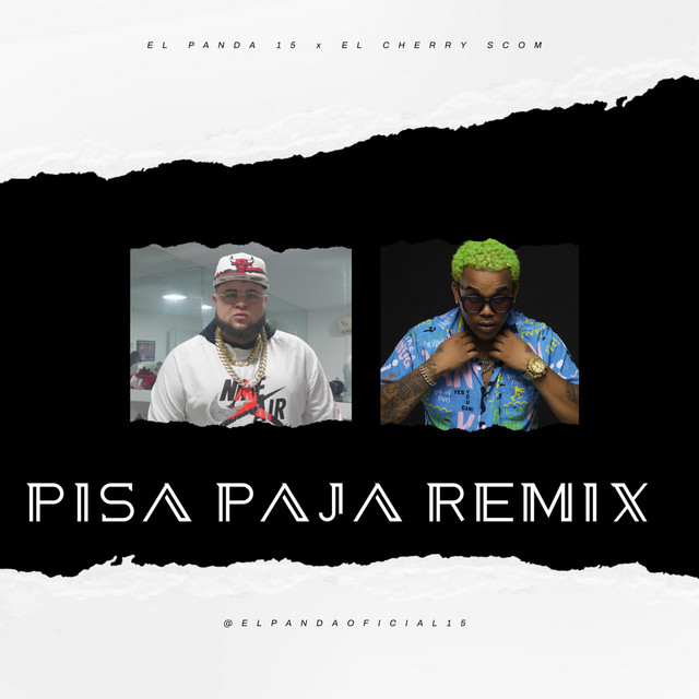 Pisa Paja (Remix)
