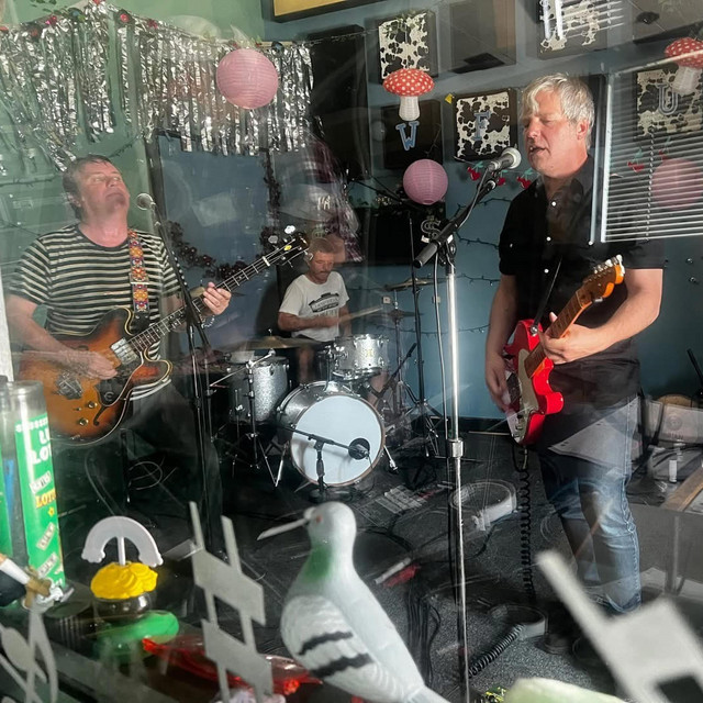 THE INSOMNIACS-Live On WFMU'S The Evan 
