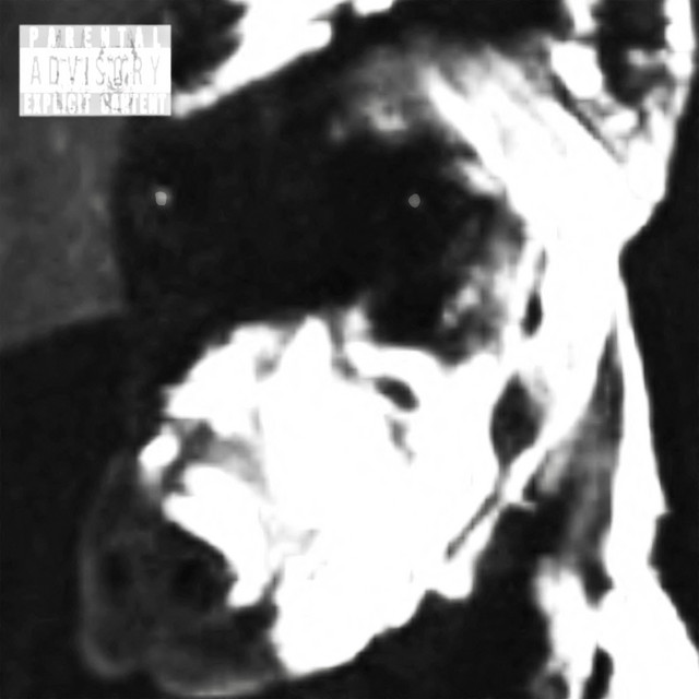 dogfood