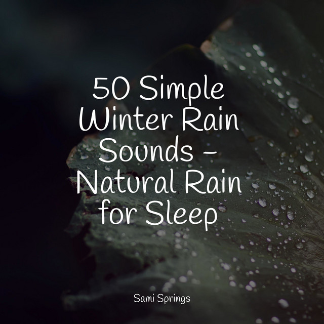 50 Simple Winter Rain Sounds - Natural Rain for Sleep - Album by ...