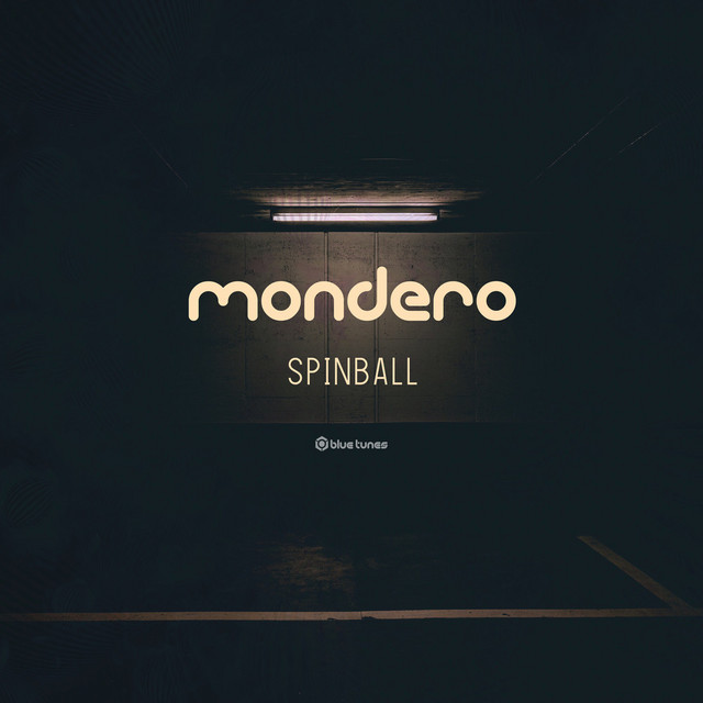 Spinball cover