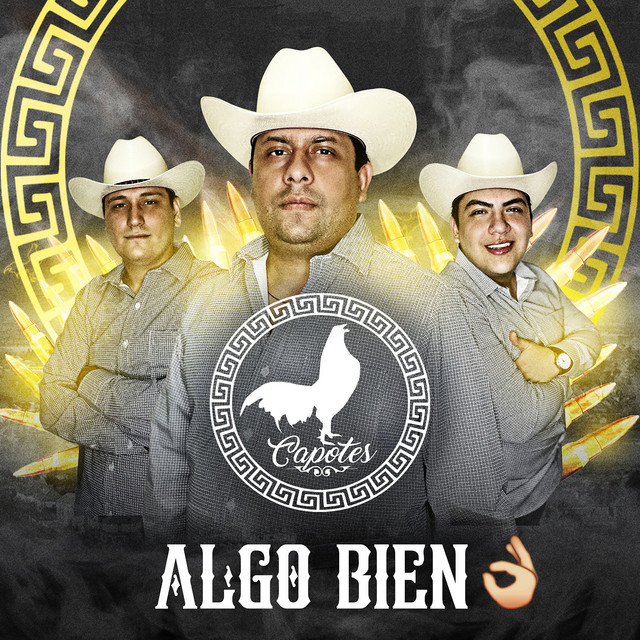 Soy el Nini - En Vivo cover art