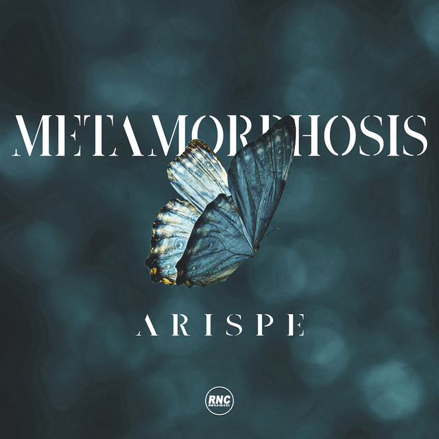 Metamorphosis