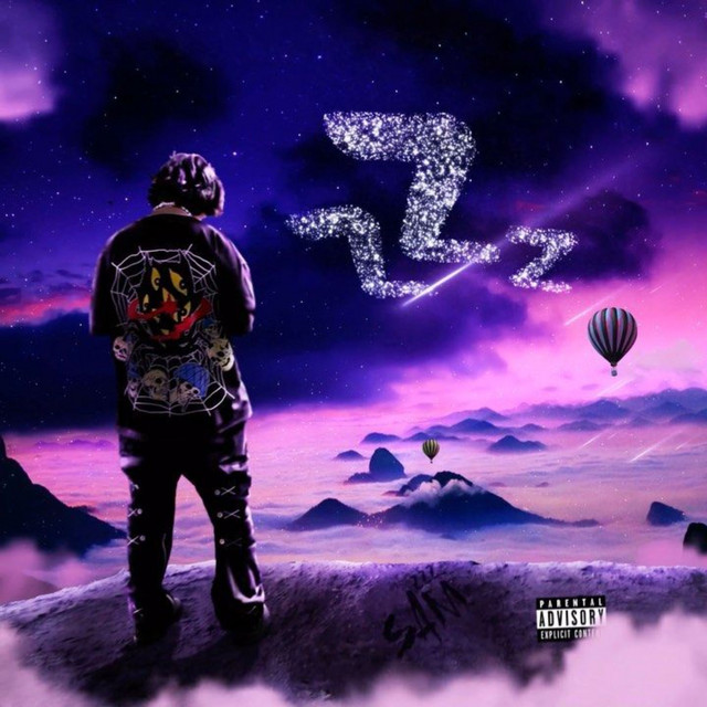 PARTY TOO MUCH cover art