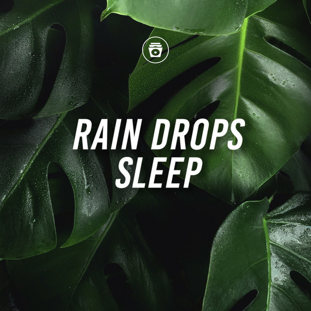 Rain Drops Sleep cover art