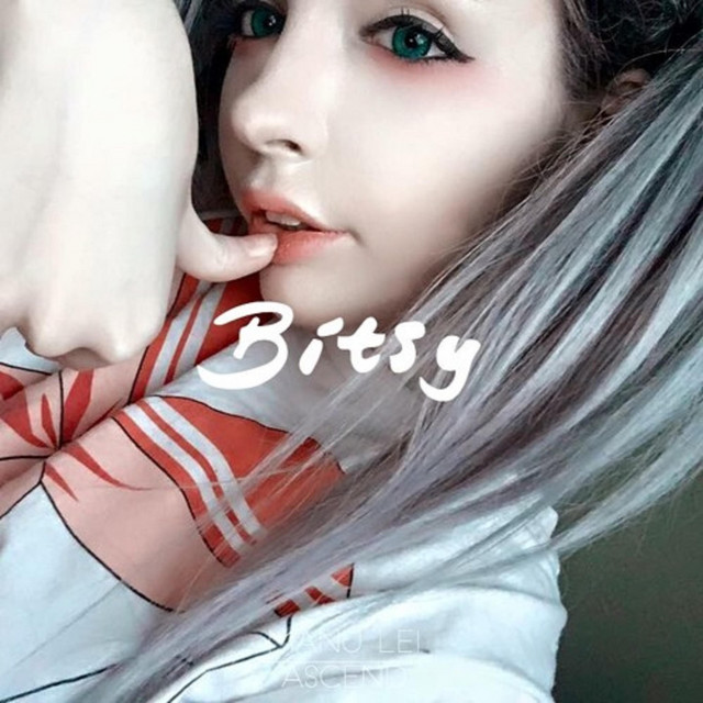 Bitsy cover art