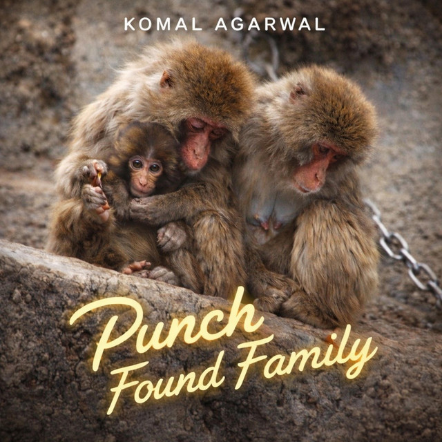 Komal Agarwal