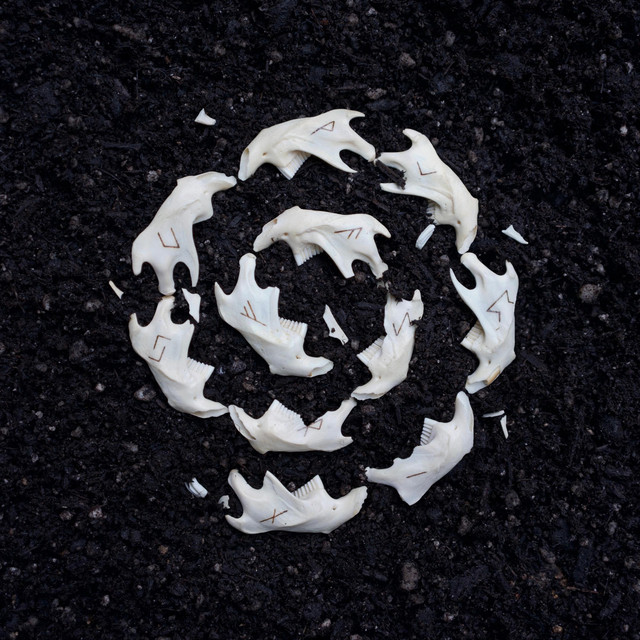 bare bones cover art