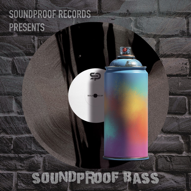 Soundproof Bass cover