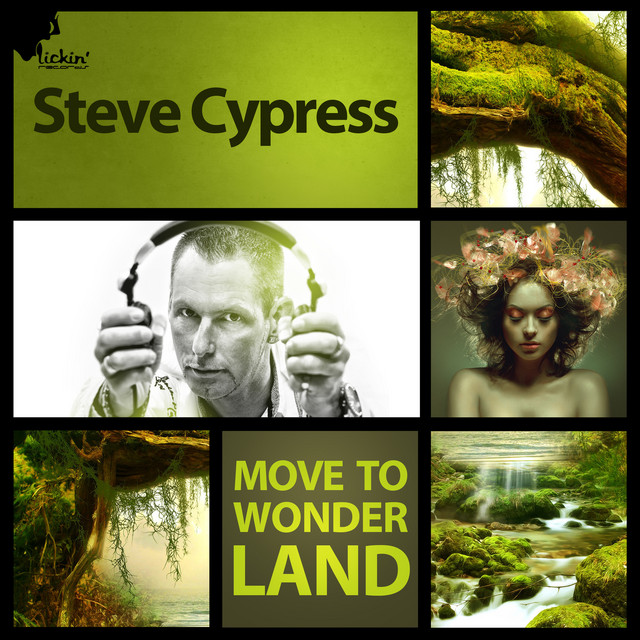 Move to Wonderland (Remixes) cover art