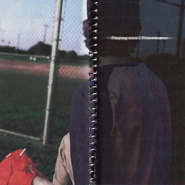 Playing Nice album image