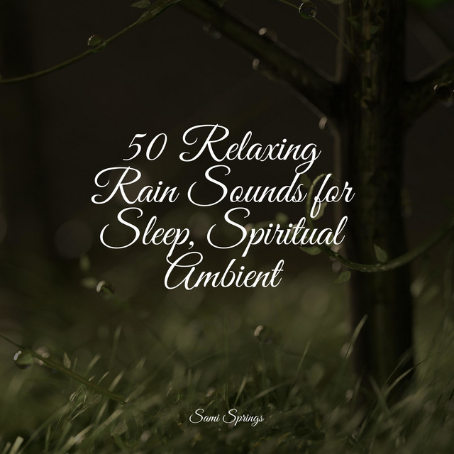 50 Relaxing Rain Sounds for Sleep, Spiritual Ambient - Album by Rain ...