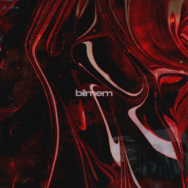 bilmem cover art