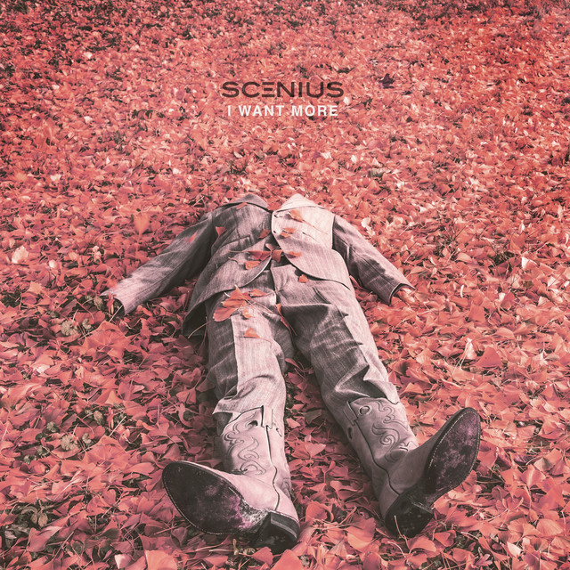 I Want More cover art