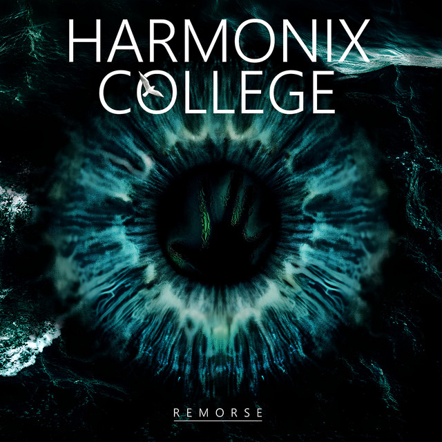 Remorse (single)