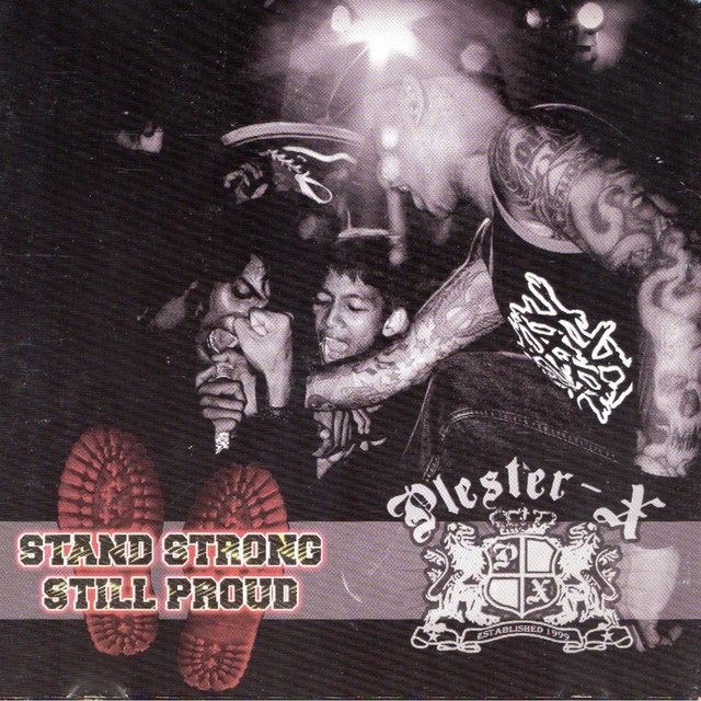 Stand Strong Still Proud cover art
