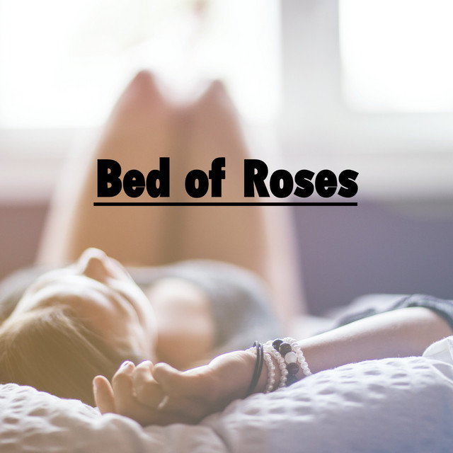Bed of Roses - Album by Heaven is Shining | Spotify