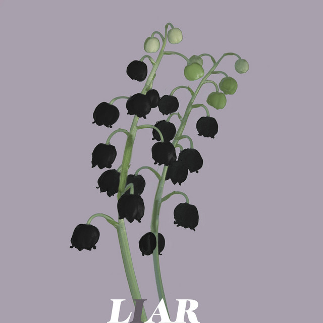 Liar cover