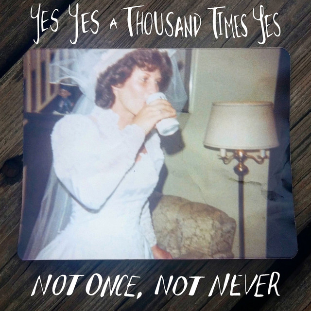 Not Once, Not Never cover art