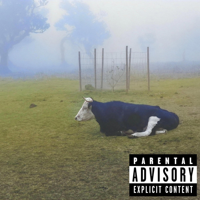 Comatose cover art