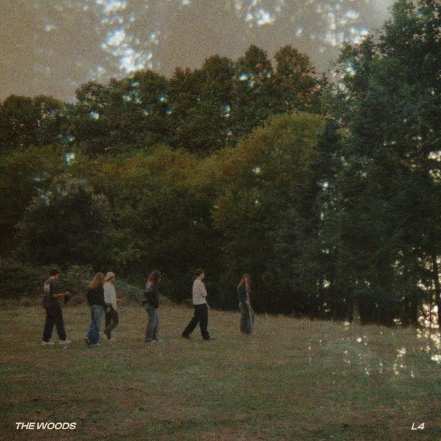 The Woods cover art