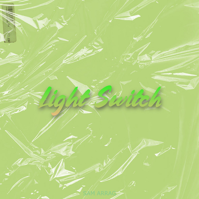 LIGHT SWITCH cover art