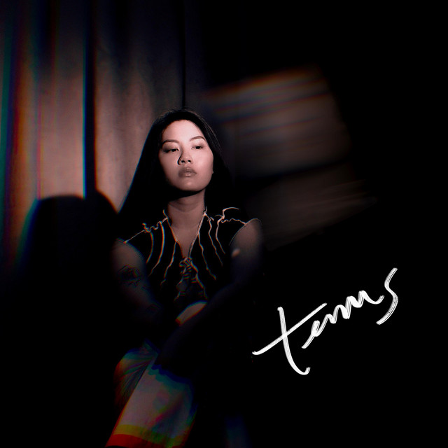 terms cover art