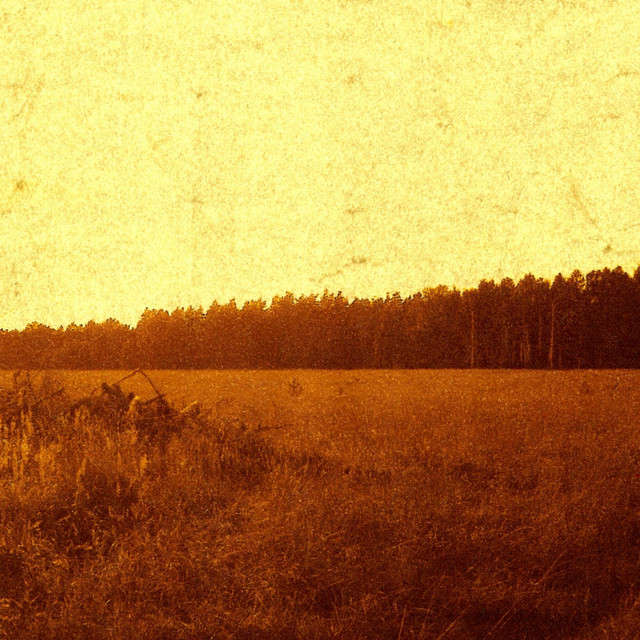 The Late Surge of Gold
