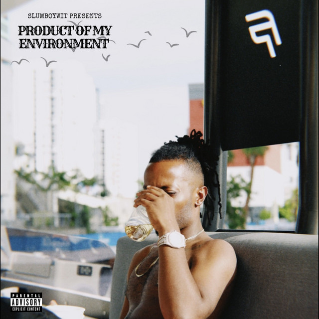 Product Of My Environment cover art