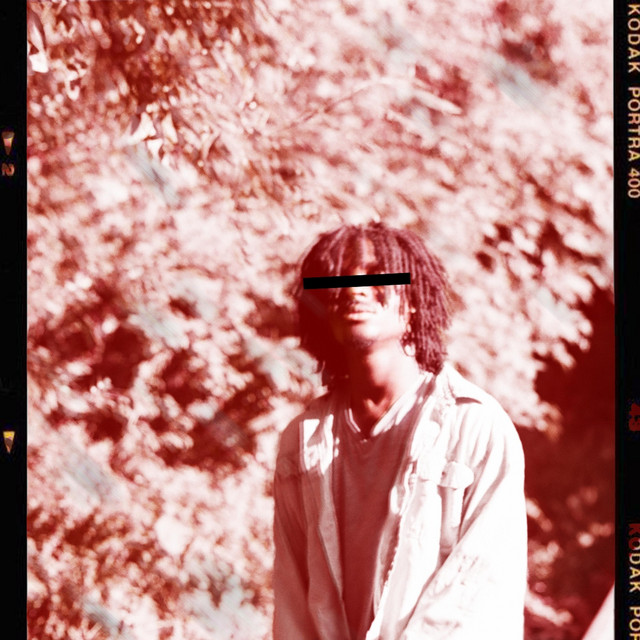 To Whom It May Concern cover art