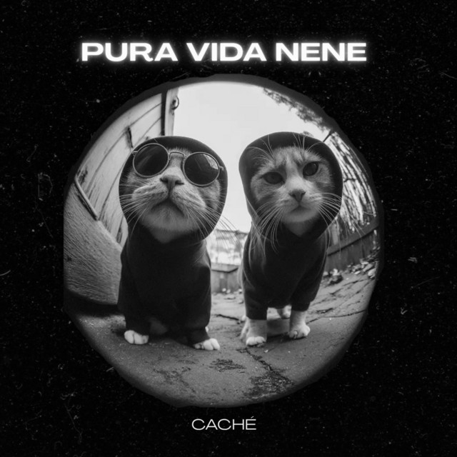 PURA VIDA NENE cover art
