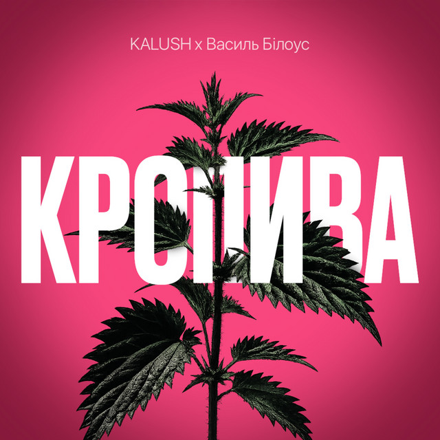 Кропива album image