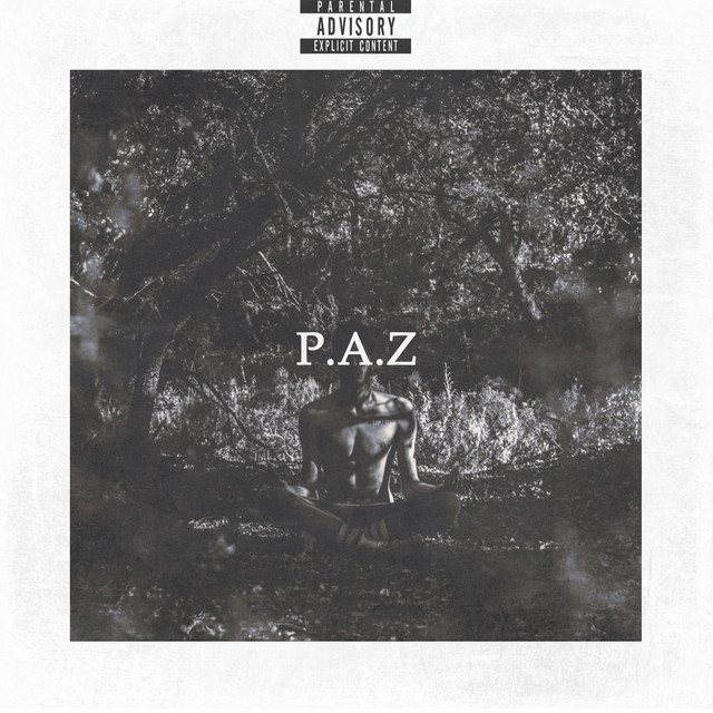 P.A.Z cover art