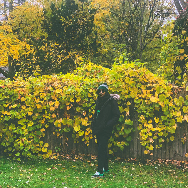 Edith 2 cover art