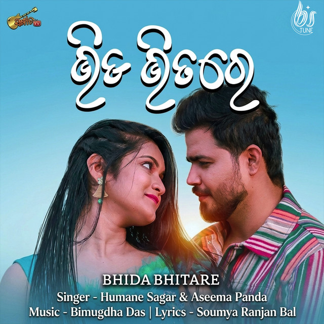 Bhida Bhitare album image