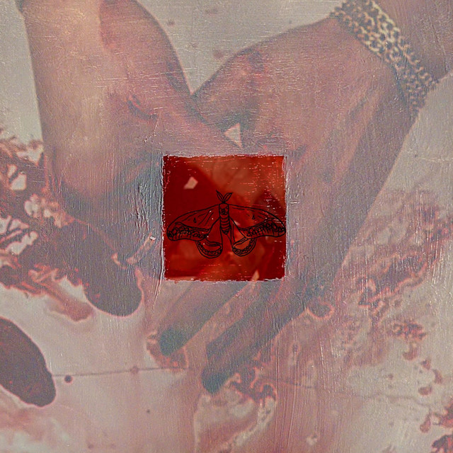 MOTH cover art