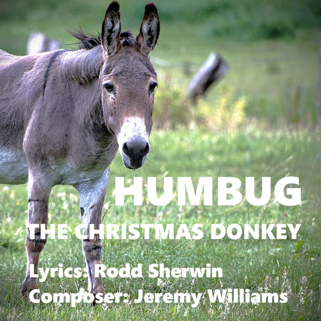 HUMBUG The Christmas Donkey - Single by Rodd Sherwin | Spotify