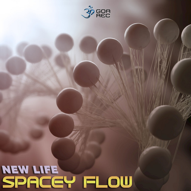 Spacey Flow Photo