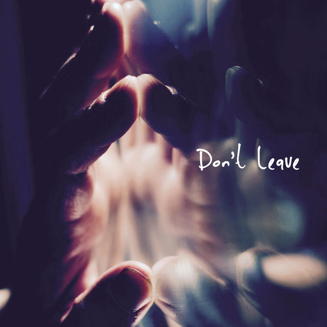 Don't Leave cover