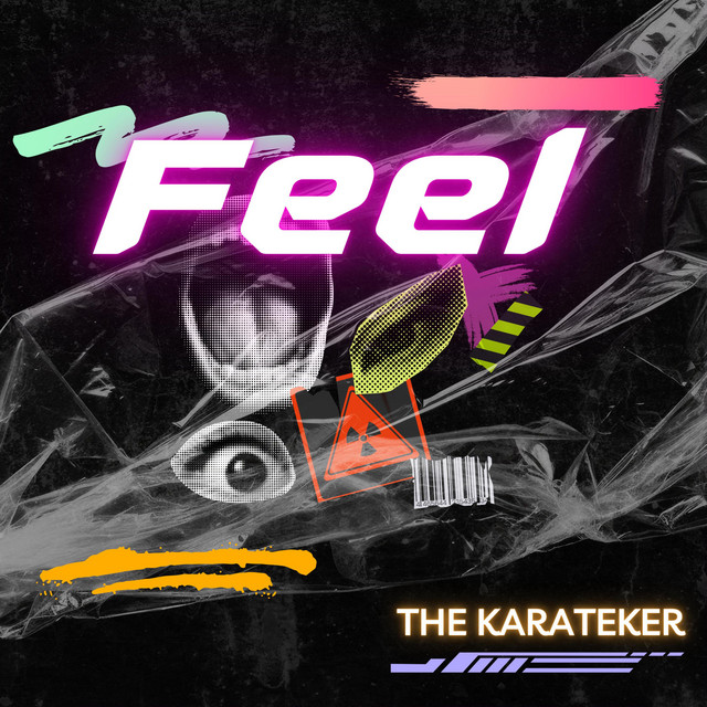 Feel cover art