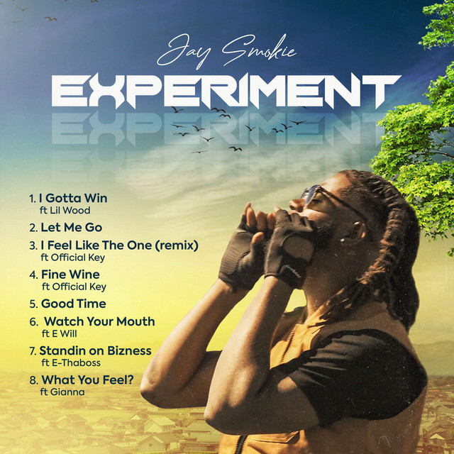 EXPERIMENT cover