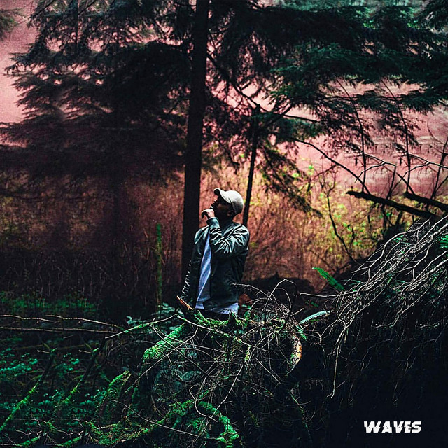 Waves cover art