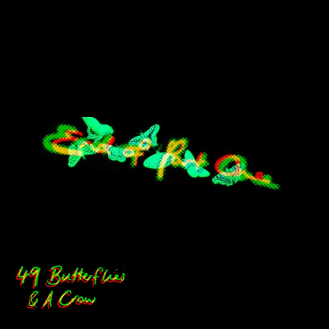49 Butterflies & A Crow cover art
