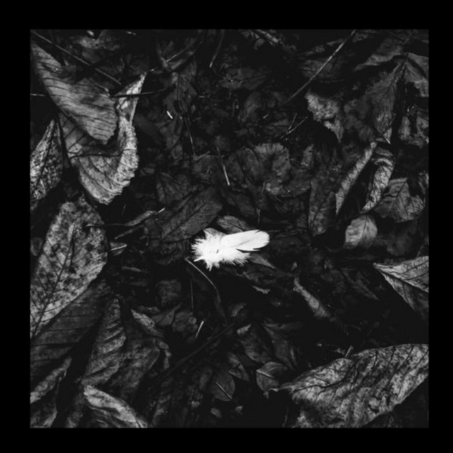 i felt a funeral, in my brain cover art