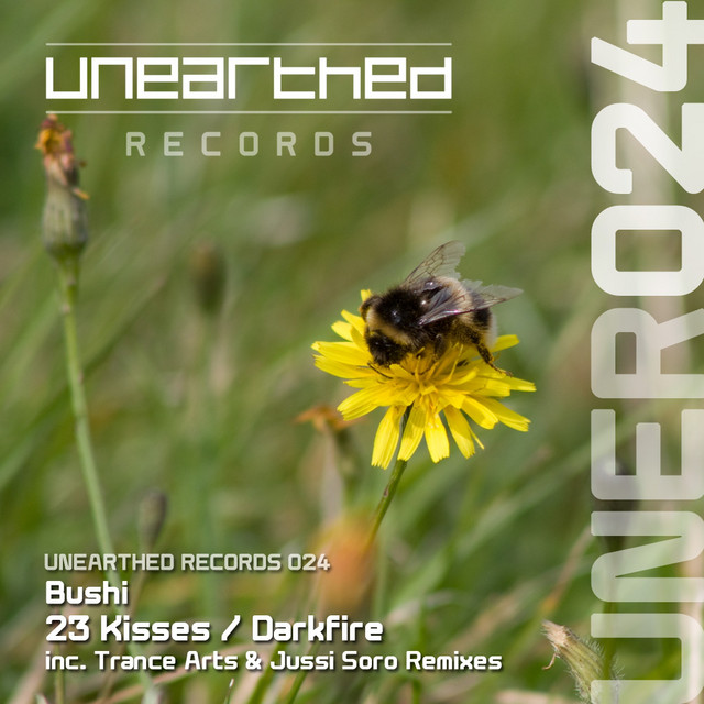 23 Kisses / Darkfire cover art