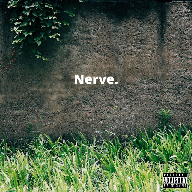 Nerve