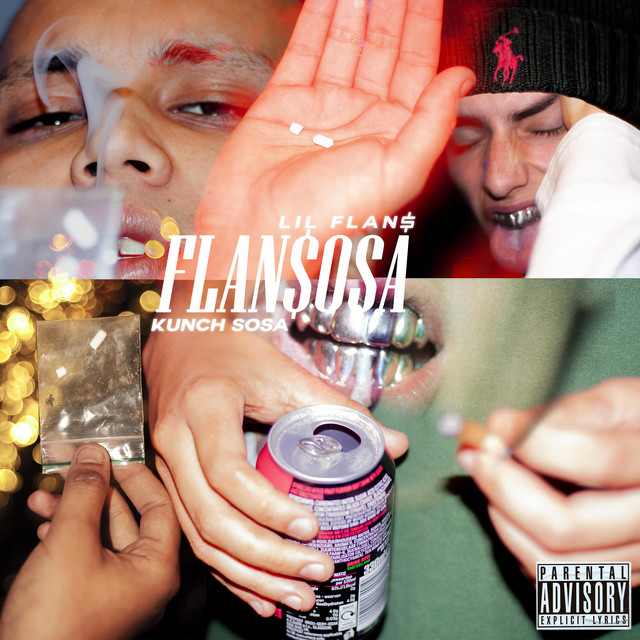 Flansosa cover art